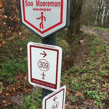 Het Zwaantje *